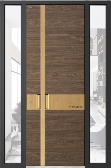 Cửa chính biệt thự ALSCHE AJYSJ-8044